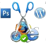 Wordpress customization